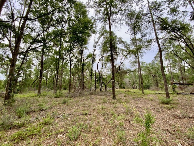 VACANT NE Bellville Rd, Pinetta, FL 32350 - photo 19
