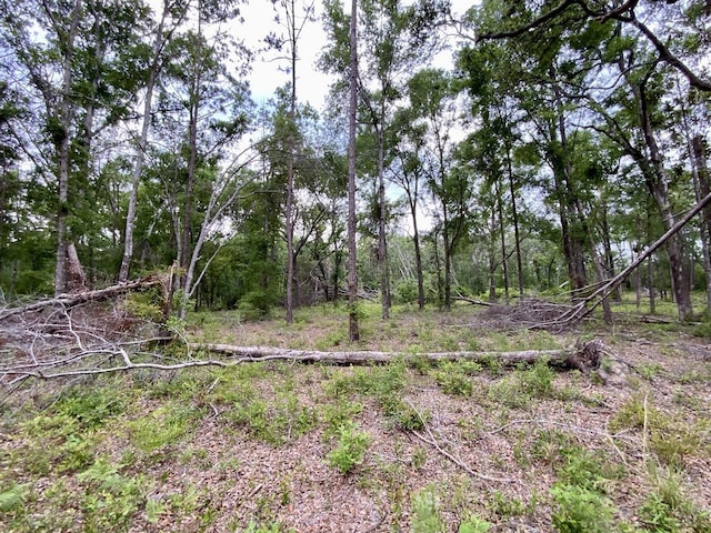 VACANT NE Bellville Rd, Pinetta, FL 32350 - photo 14