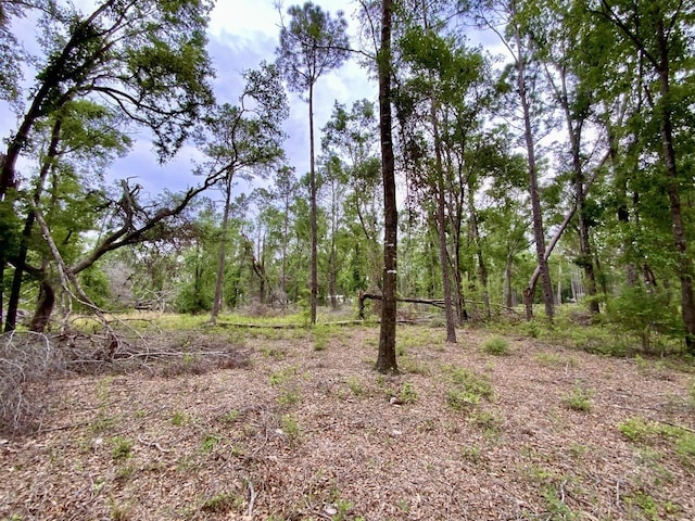 VACANT NE Bellville Rd, Pinetta, FL 32350 - photo 17