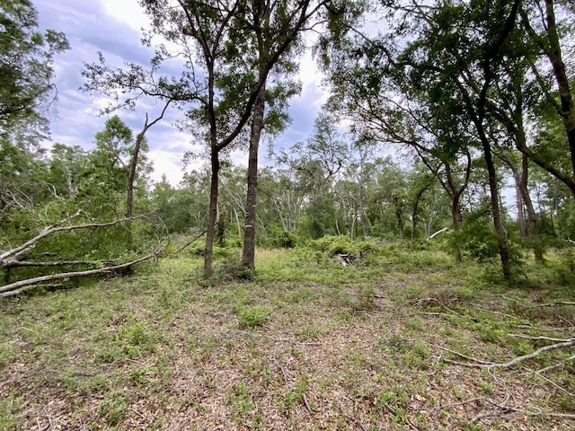 VACANT NE Bellville Rd, Pinetta, FL 32350 - photo 16