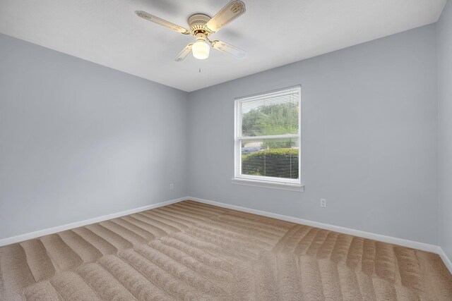 1561 Goodwood Dr, Tallahassee, FL 32308 - photo 14