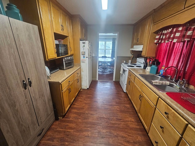 kitchen with dark hardwood / wood-style flooring, sink, and white appliances