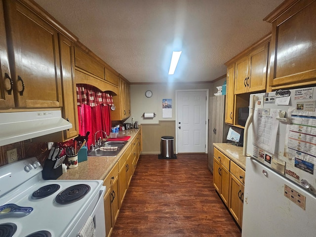 kitchen with dark hardwood / wood-style flooring, sink, ornamental molding, extractor fan, and white appliances