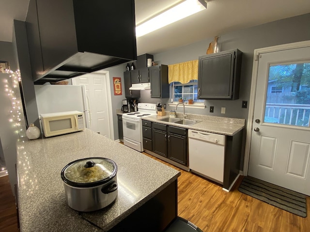 kitchen with a sink, light wood-type flooring, white appliances, dark cabinetry, and under cabinet range hood