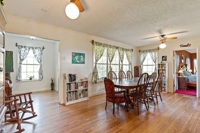 dining space featuring light wood-type flooring, a healthy amount of sunlight, and ornamental molding