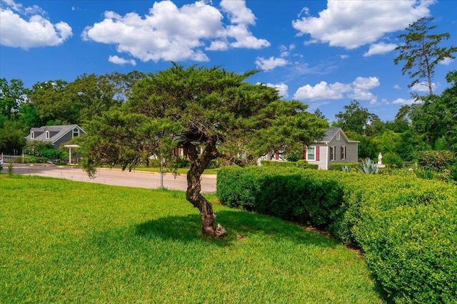 921 Forest Dr, Quincy, FL 32351 - view of grassy yard
