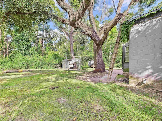 710 W Julia St, Perry, FL 32347 - photo 4