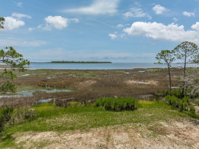 LOT8 Levy Bay Rd, Panacea, FL 32346 - photo 6