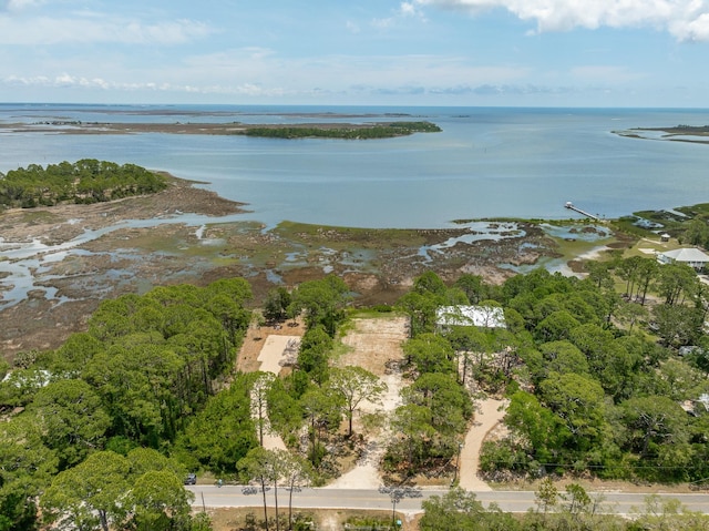 LOT8 Levy Bay Rd, Panacea, FL 32346 - photo 10