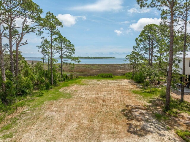 LOT8 Levy Bay Rd, Panacea, FL 32346 - photo 5