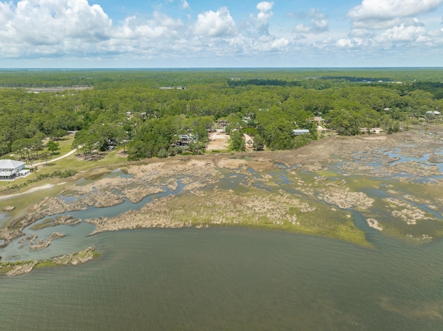 LOT8 Levy Bay Rd, Panacea, FL 32346 - photo 8