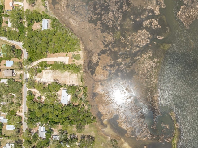 LOT8 Levy Bay Rd, Panacea, FL 32346 - photo 14