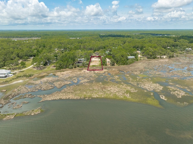 LOT8 Levy Bay Rd, Panacea, FL 32346 - photo 7