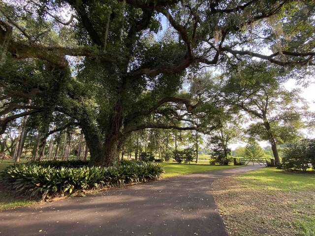 3371 Baum Rd, Tallahassee, FL 32317 - photo 42