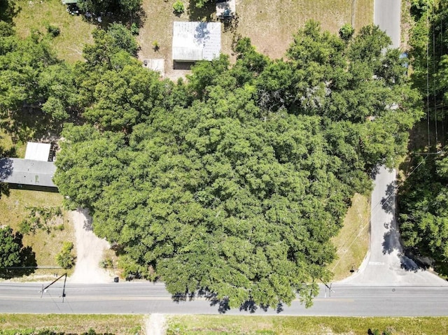 1212 S Center St, Perry, FL 32348 - photo 2