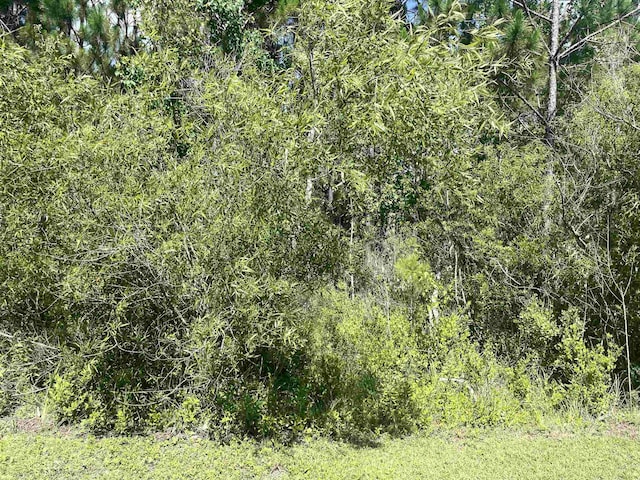 909 NE 6th St, Carrabelle, FL 32322