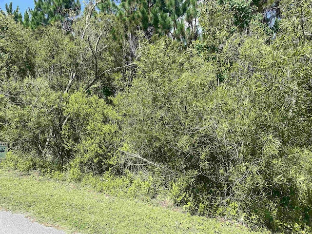 909 NE 6th St, Carrabelle, FL 32322