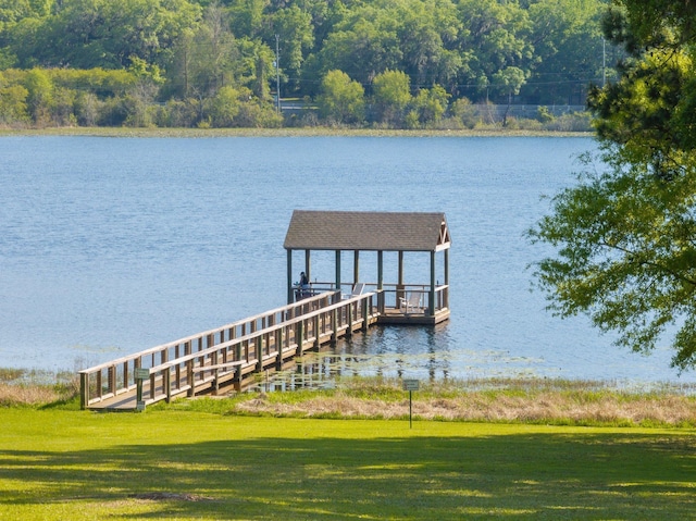 4318 Terebinth Trl, Tallahassee, FL 32317 - dock area featuring a water view, a yard, and boat lift