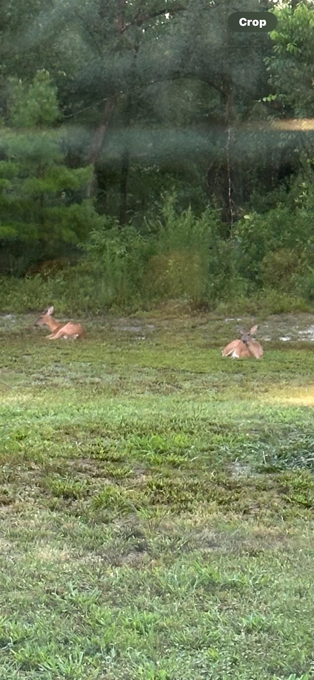 150 Houck Rd, Perry, FL 32348 - photo 28