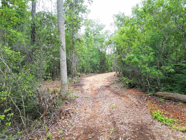 TBD NE Lowery Acres Rd, Hosford, FL 32334 - photo 12
