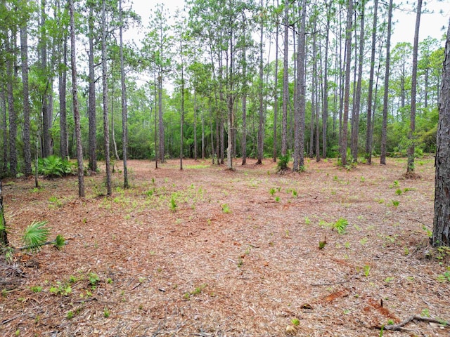 TBD NE Lowery Acres Rd, Hosford, FL 32334 - photo 7