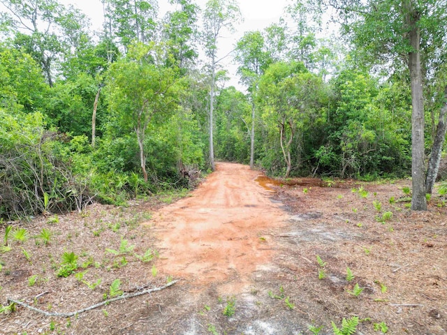 TBD NE Lowery Acres Rd, Hosford, FL 32334 - photo 10