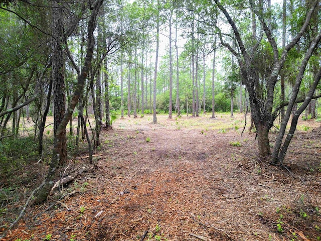 TBD NE Lowery Acres Rd, Hosford, FL 32334 - photo 5