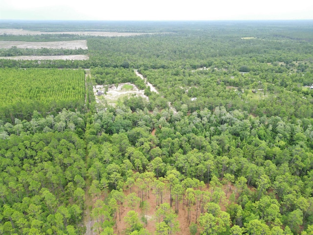 TBD NE Lowery Acres Rd, Hosford, FL 32334 - photo 8