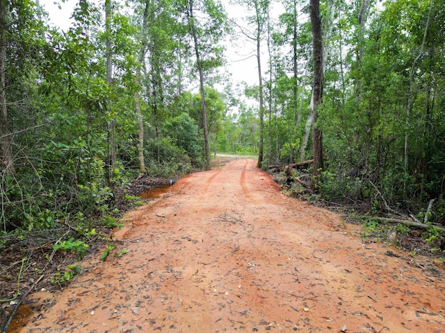 TBD NE Lowery Acres Rd, Hosford, FL 32334 - photo 2