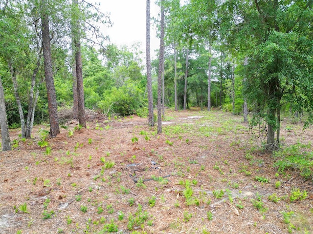TBD NE Lowery Acres Rd, Hosford, FL 32334 - photo 13