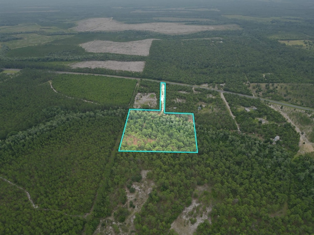 TBD NE Lowery Acres Rd, Hosford, FL 32334 - photo 11