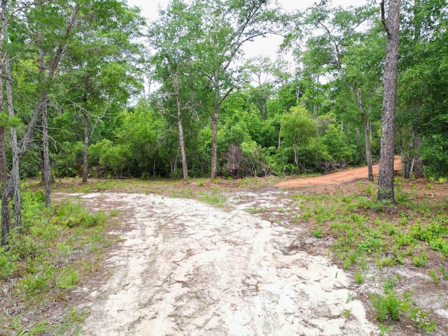 TBD NE Lowery Acres Rd, Hosford, FL 32334 - photo 6
