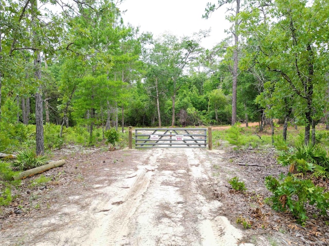 TBD NE Lowery Acres Rd, Hosford, FL 32334 - photo 9