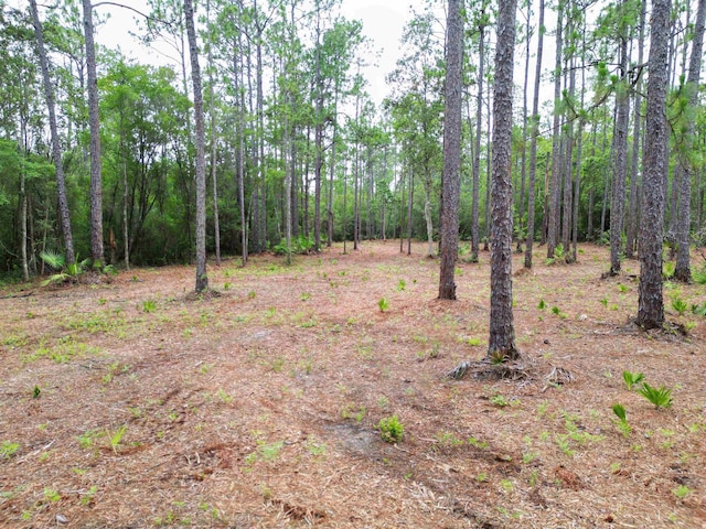 TBD NE Lowery Acres Rd, Hosford, FL 32334 - photo 1