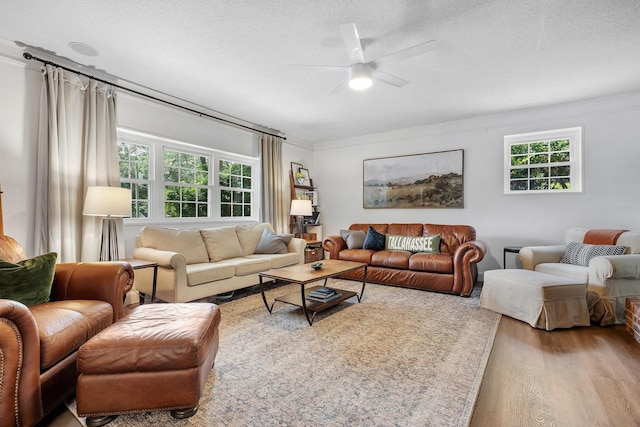 2809 Trebark Dr, Tallahassee, FL 32312 - living room with wood finished floors, a ceiling fan, plenty of natural light, and a textured ceiling