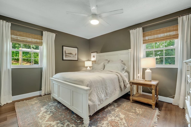 2809 Trebark Dr, Tallahassee, FL 32312 - bedroom with wood finished floors, multiple windows, and a ceiling fan
