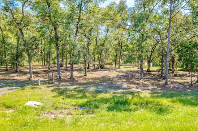 5033 Coastal Hwy, Crawfordville, FL 32327 - photo 13