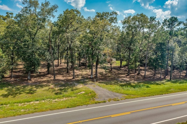 5033 Coastal Hwy, Crawfordville, FL 32327 - photo 9