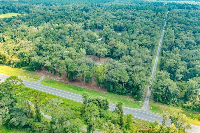 5033 Coastal Hwy, Crawfordville, FL 32327 - photo 20