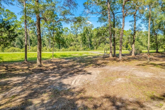 5033 Coastal Hwy, Crawfordville, FL 32327 - photo 11