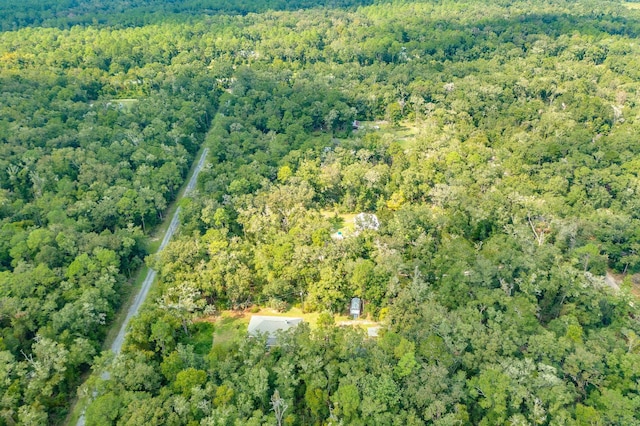 5033 Coastal Hwy, Crawfordville, FL 32327 - photo 22