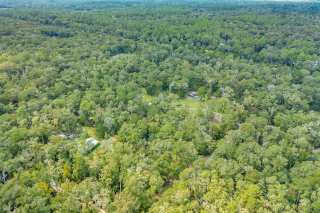 5033 Coastal Hwy, Crawfordville, FL 32327 - photo 23