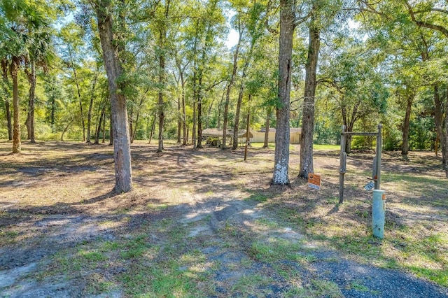 5033 Coastal Hwy, Crawfordville, FL 32327 - photo 4