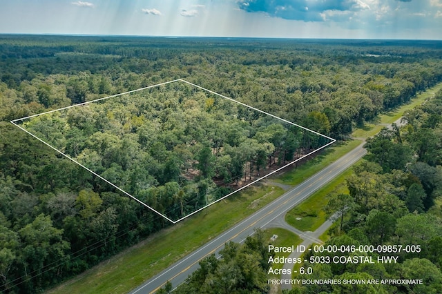 5033 Coastal Hwy, Crawfordville, FL 32327 - photo 3