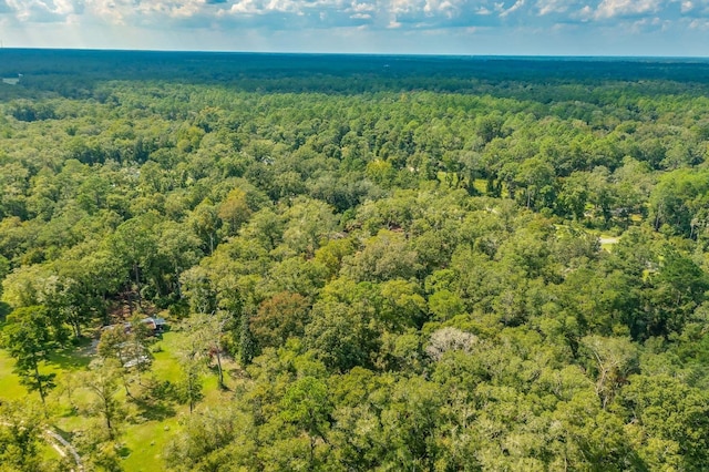 5033 Coastal Hwy, Crawfordville, FL 32327 - photo 16