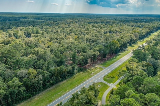 5033 Coastal Hwy, Crawfordville, FL 32327 - photo 12