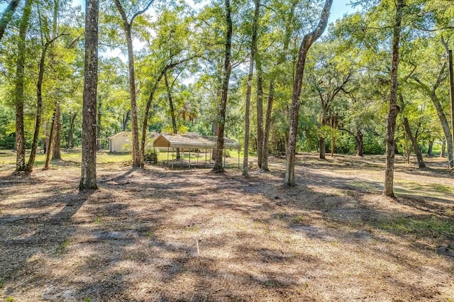 5033 Coastal Hwy, Crawfordville, FL 32327 - photo 8