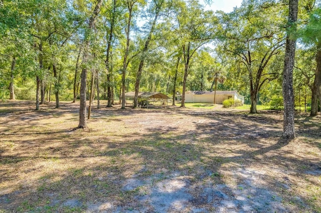 5033 Coastal Hwy, Crawfordville, FL 32327 - photo 5