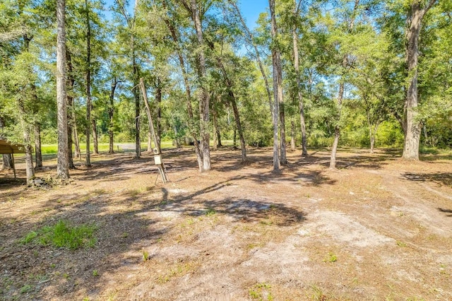 5033 Coastal Hwy, Crawfordville, FL 32327 - photo 10