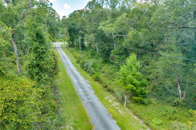 5033 Coastal Hwy, Crawfordville, FL 32327 - photo 24